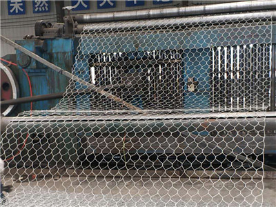 石笼网 - 安平县全华丝网制品有限公司图片4