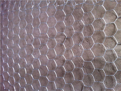 镀锌石笼网 - 安平县全华丝网制品有限公司图片4