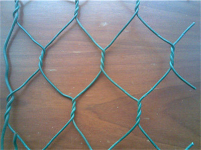 三拧石笼网 - 安平县全华丝网制品有限公司图片4