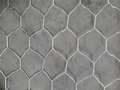 五拧石笼网 - 安平县全华丝网制品有限公司图片4