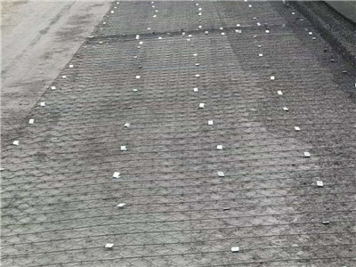 加筋格宾网 - 安平县全华丝网制品有限公司图片3