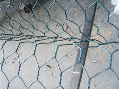 Pvc包塑格宾网 - 安平县全华丝网制品有限公司图片2