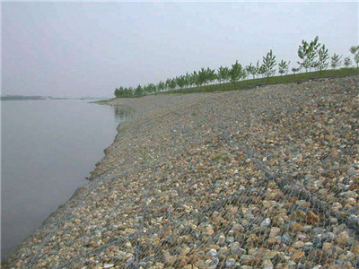 镀锌雷诺护垫案例 - 安平县全华丝网制品有限公司图片3